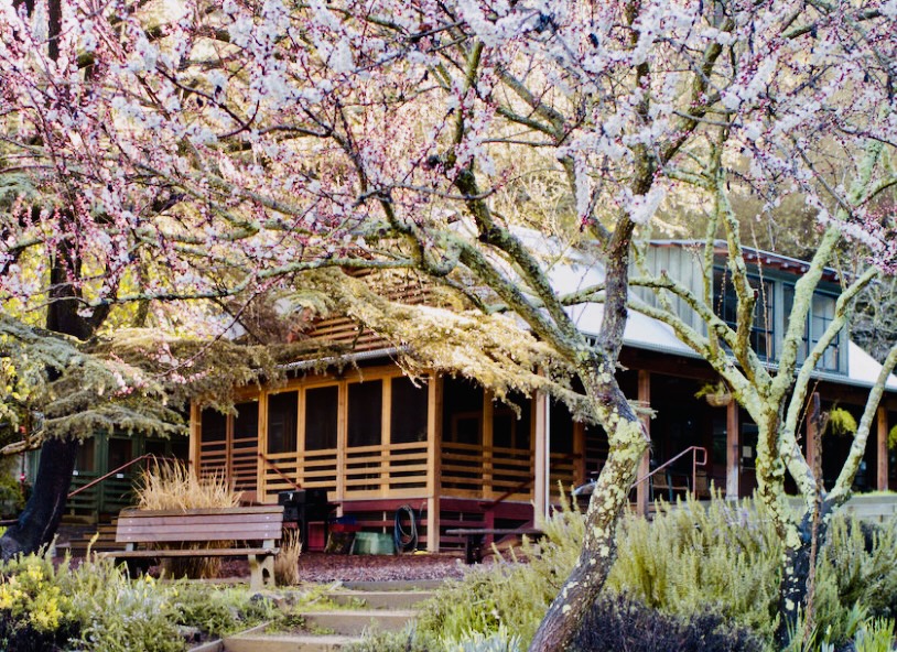 Retreat lodge surrounded by blossoming trees
