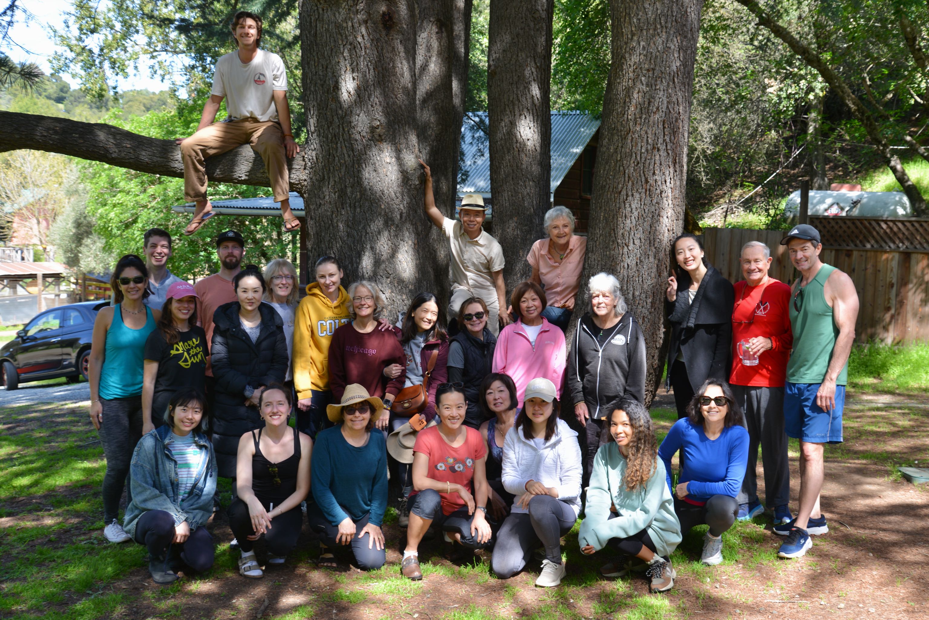 Retreat group gathered together under redwood trees